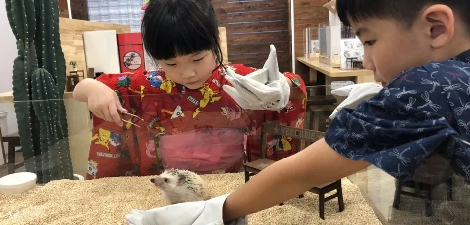 Rumah dan Kafe Hedgehog di Shibuya.